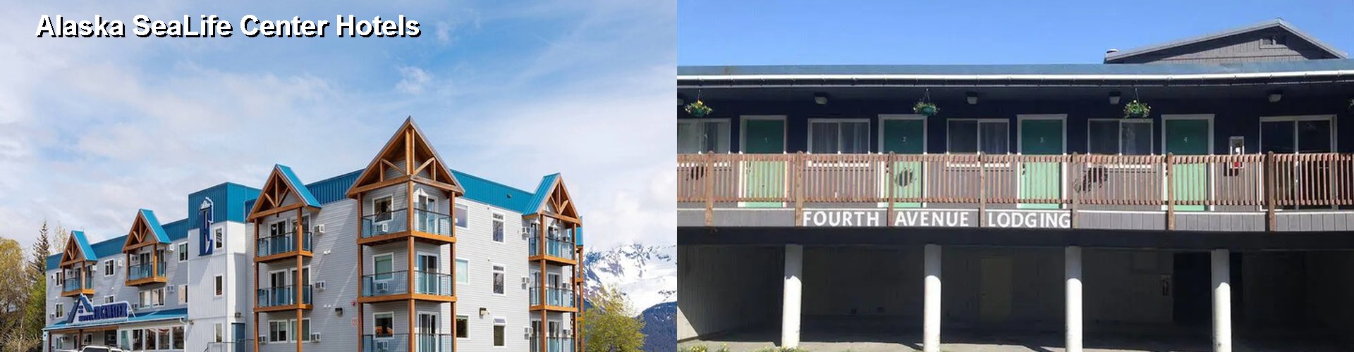 4 Best Hotels near Alaska SeaLife Center