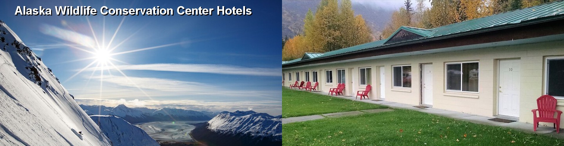 5 Best Hotels near Alaska Wildlife Conservation Center