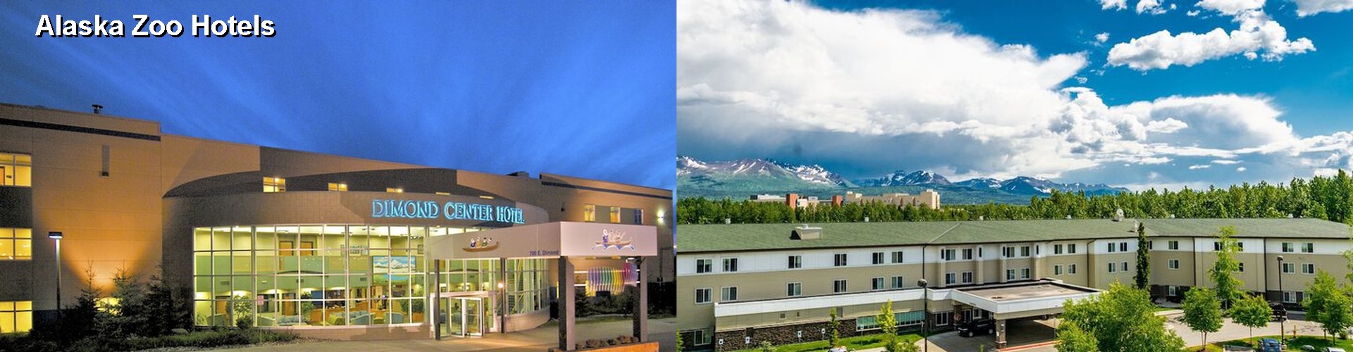 5 Best Hotels near Alaska Zoo