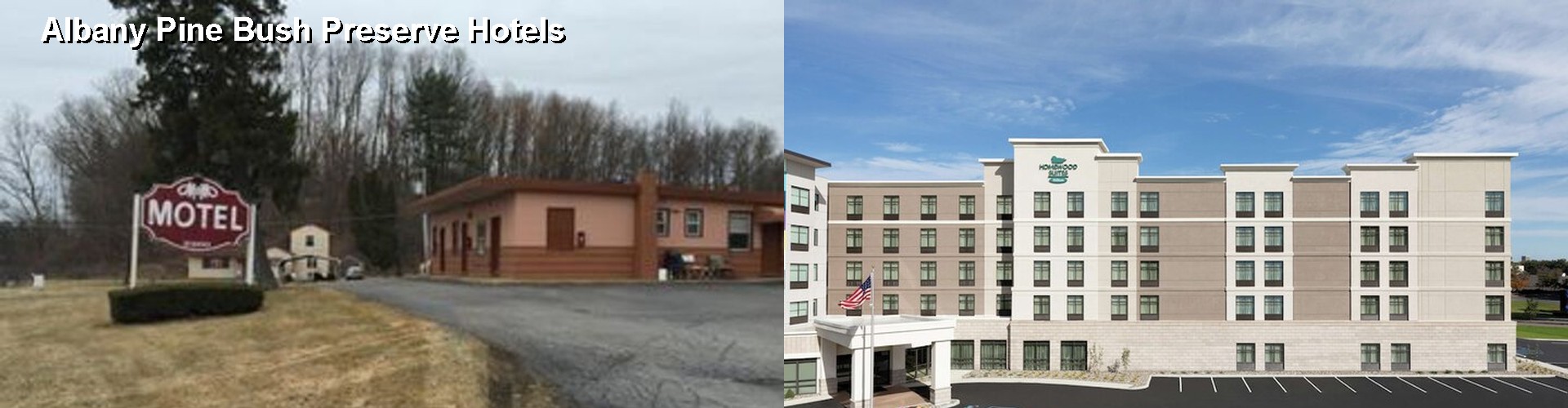4 Best Hotels near Albany Pine Bush Preserve