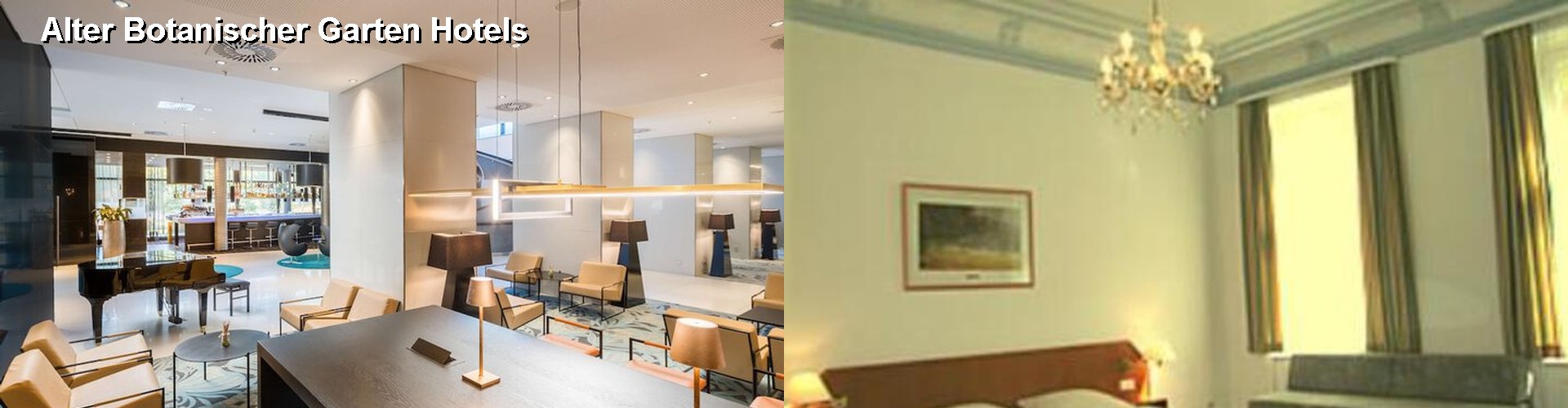 5 Best Hotels near Alter Botanischer Garten