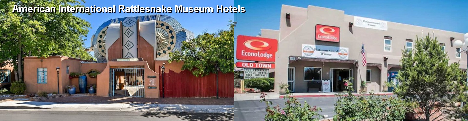 5 Best Hotels near American International Rattlesnake Museum
