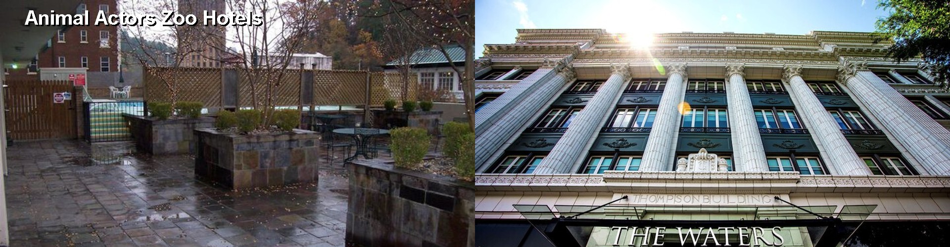 5 Best Hotels near Animal Actors Zoo