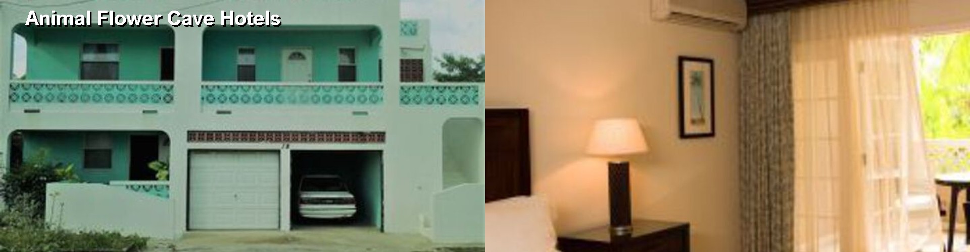 5 Best Hotels near Animal Flower Cave