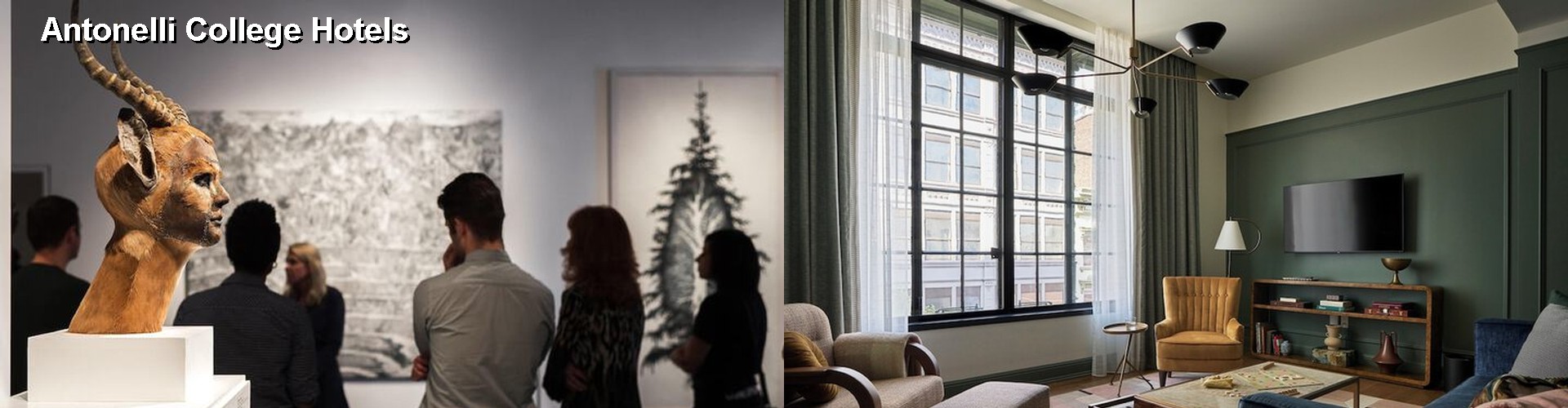 5 Best Hotels near Antonelli College