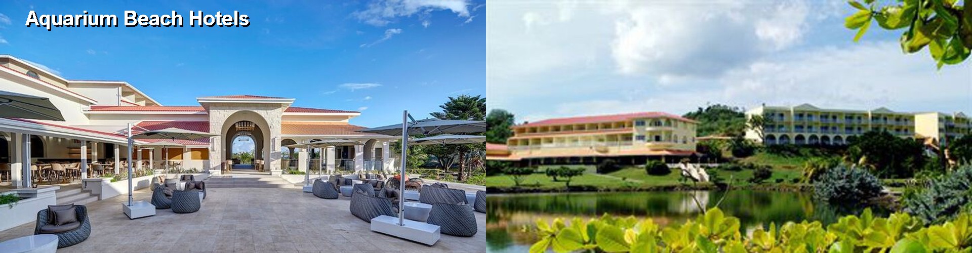 5 Best Hotels near Aquarium Beach