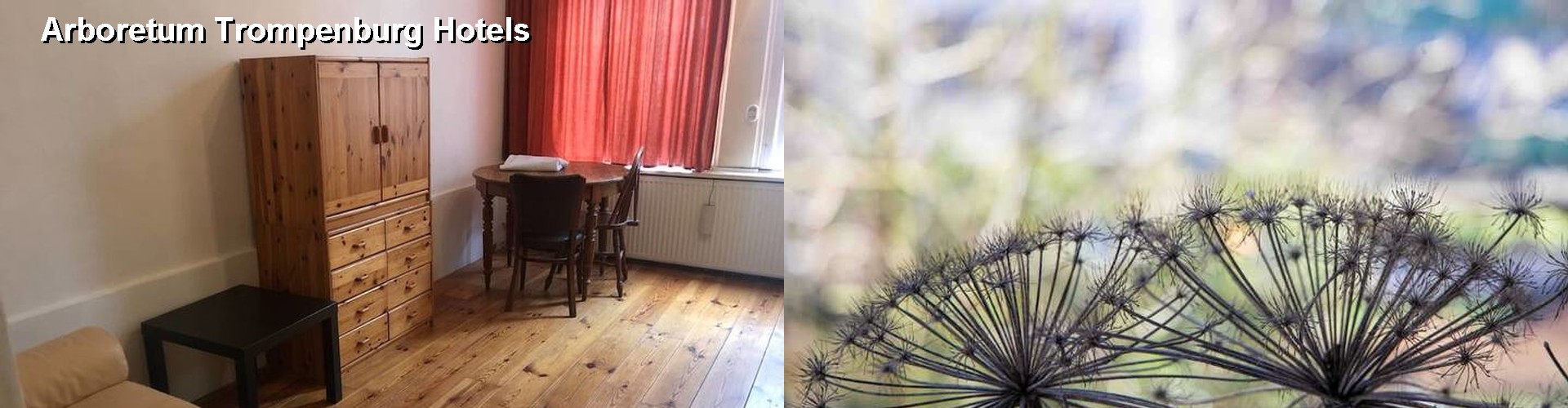 5 Best Hotels near Arboretum Trompenburg
