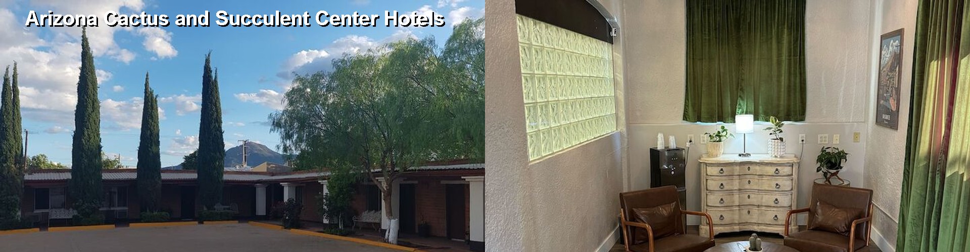 5 Best Hotels near Arizona Cactus and Succulent Center