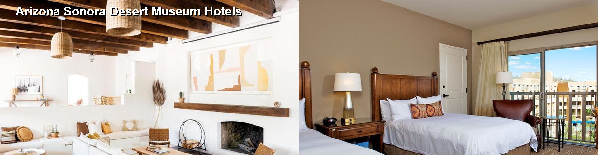 3 Best Hotels near Arizona Sonora Desert Museum