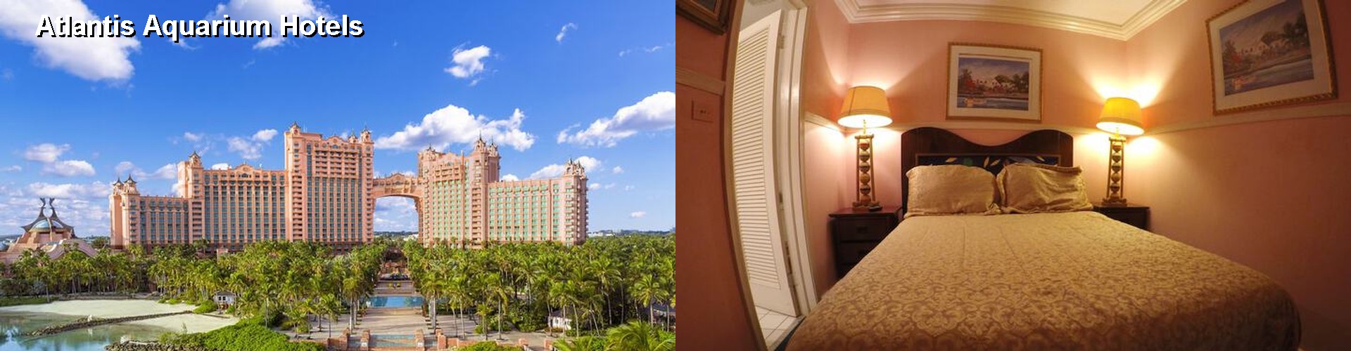 5 Best Hotels near Atlantis Aquarium