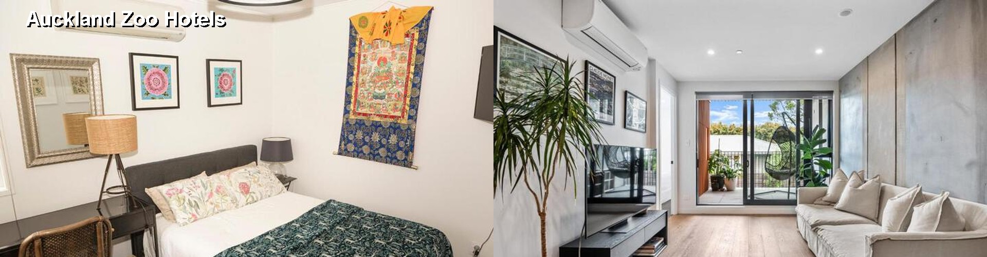 3 Best Hotels near Auckland Zoo