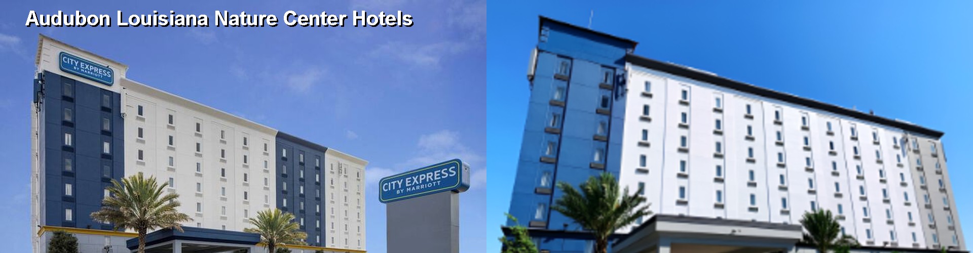 3 Best Hotels near Audubon Louisiana Nature Center