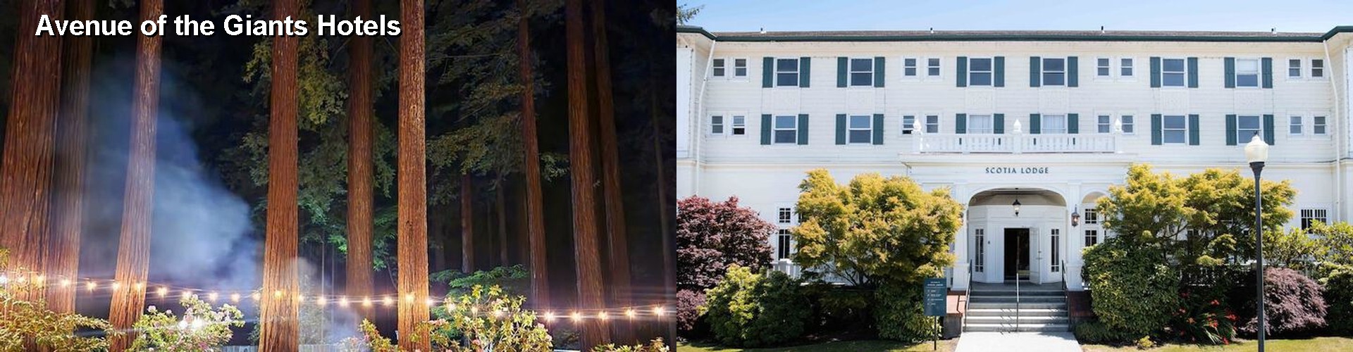 5 Best Hotels near Avenue of the Giants