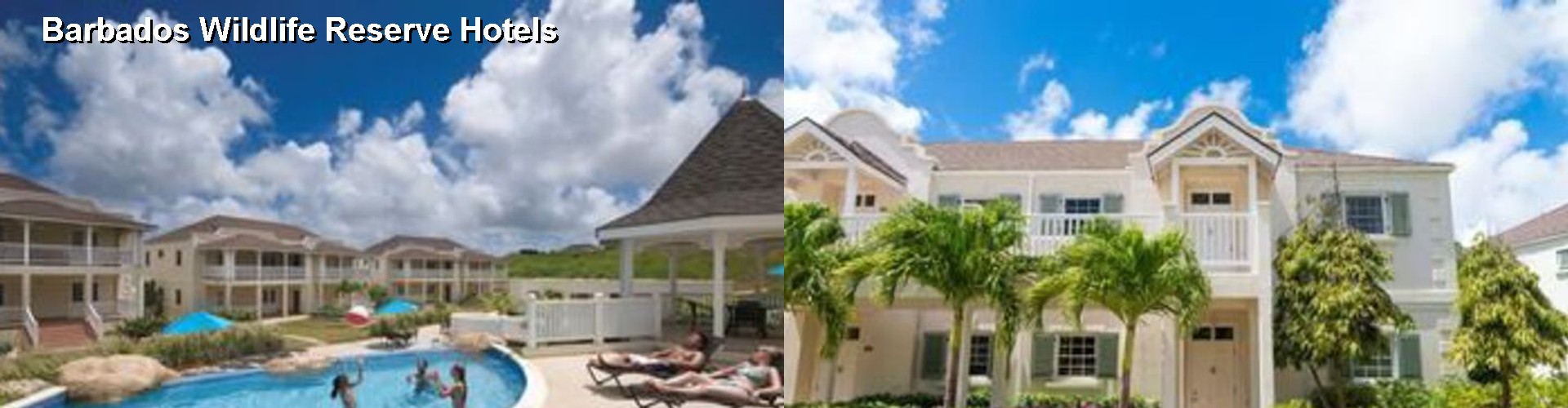 1 Best Hotels near Barbados Wildlife Reserve