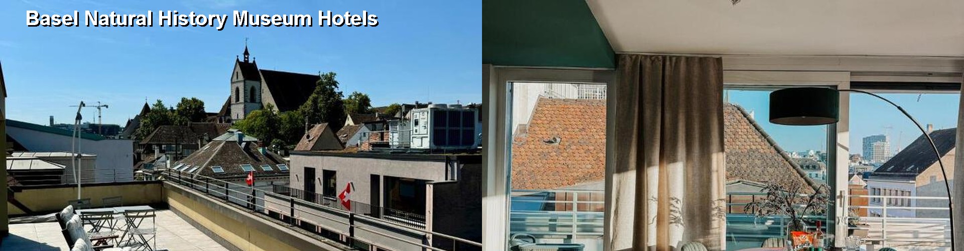 5 Best Hotels near Basel Natural History Museum