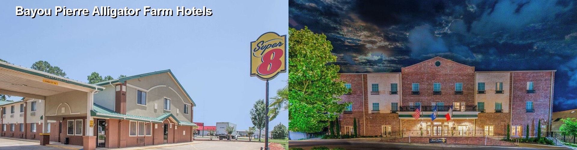 5 Best Hotels near Bayou Pierre Alligator Farm
