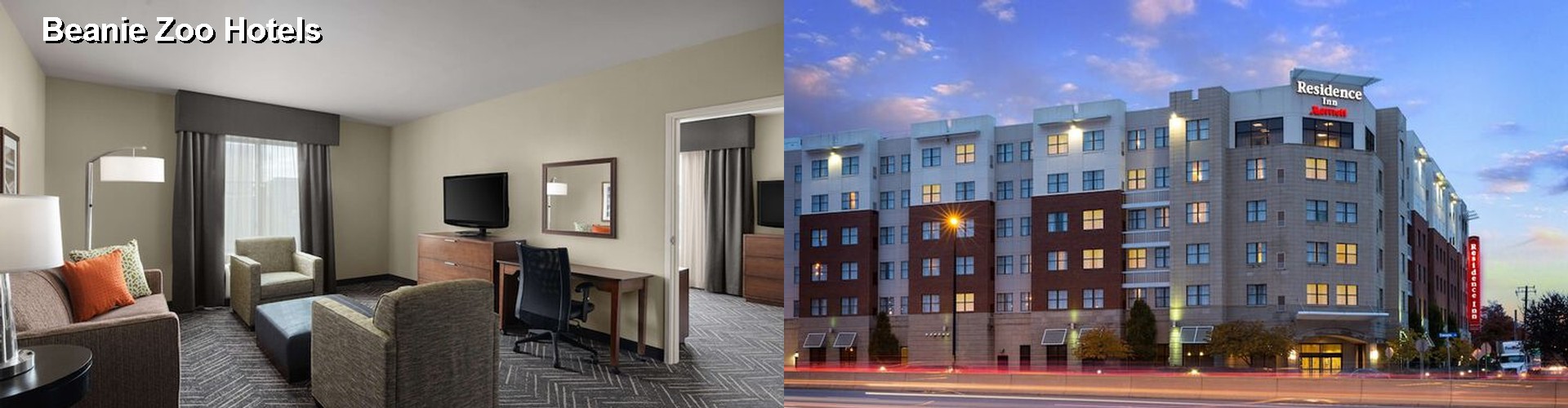 5 Best Hotels near Beanie Zoo