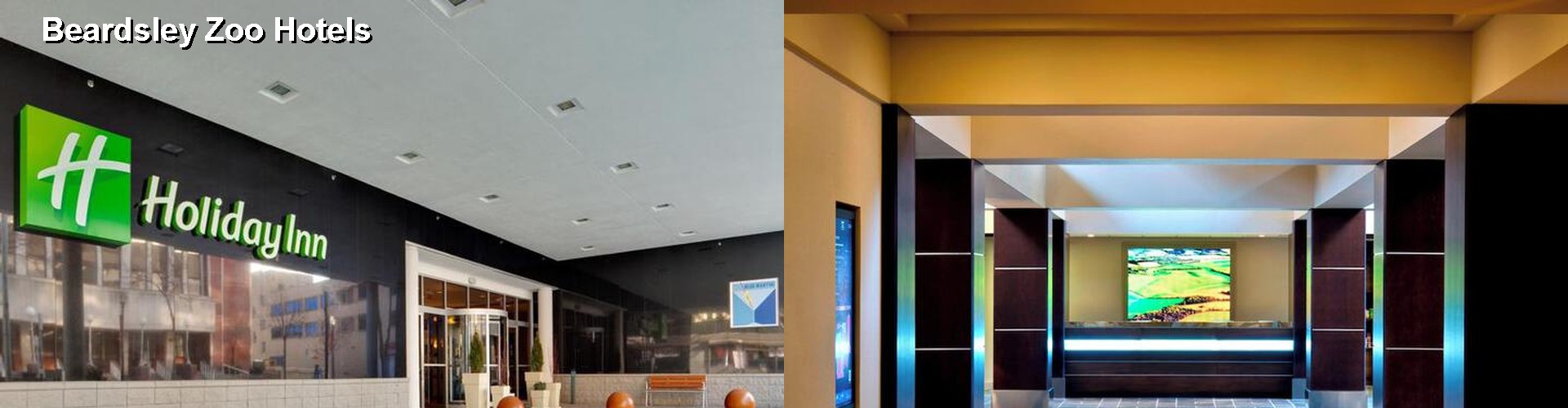 5 Best Hotels near Beardsley Zoo