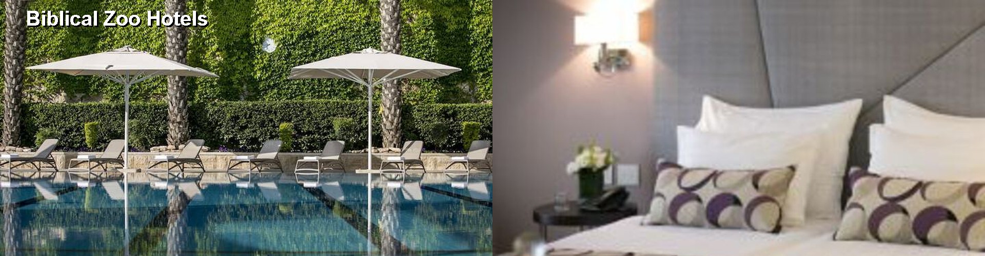 5 Best Hotels near Biblical Zoo