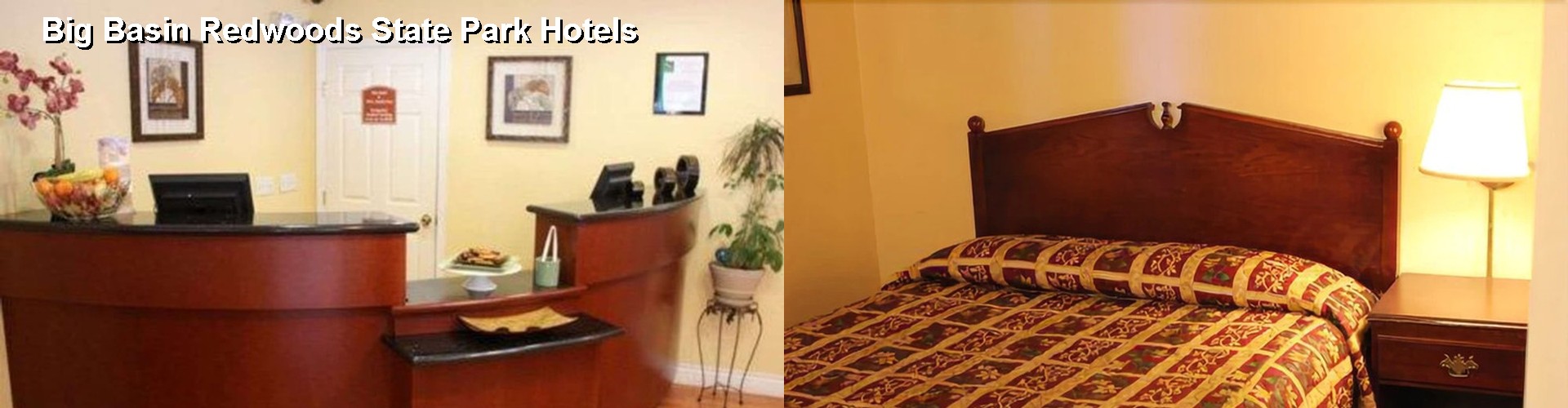 5 Best Hotels near Big Basin Redwoods State Park