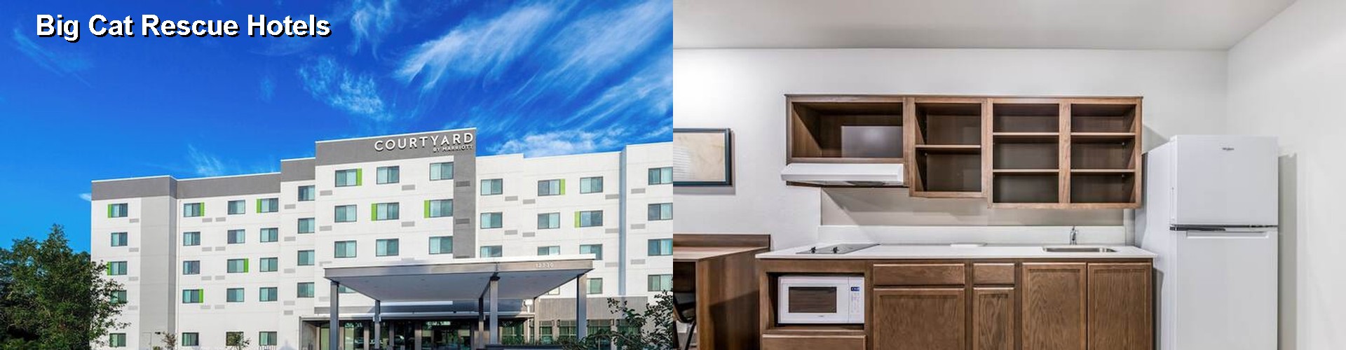 5 Best Hotels near Big Cat Rescue