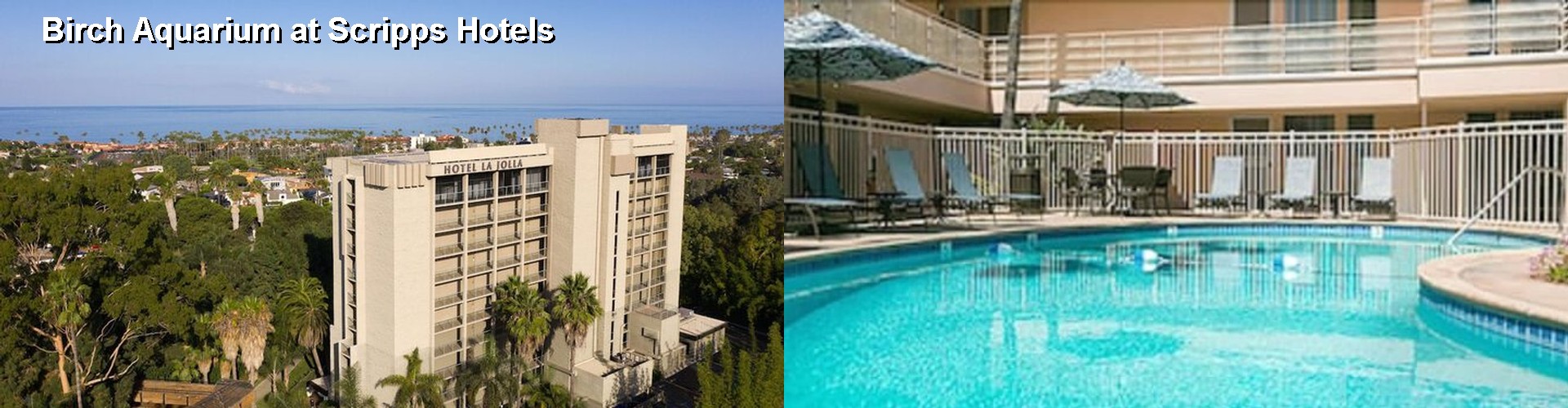 5 Best Hotels near Birch Aquarium at Scripps