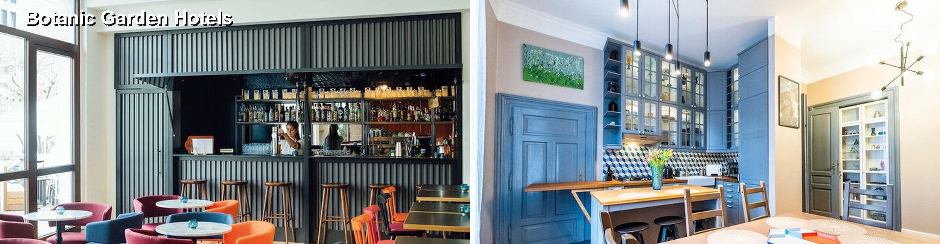5 Best Hotels near Botanic Garden