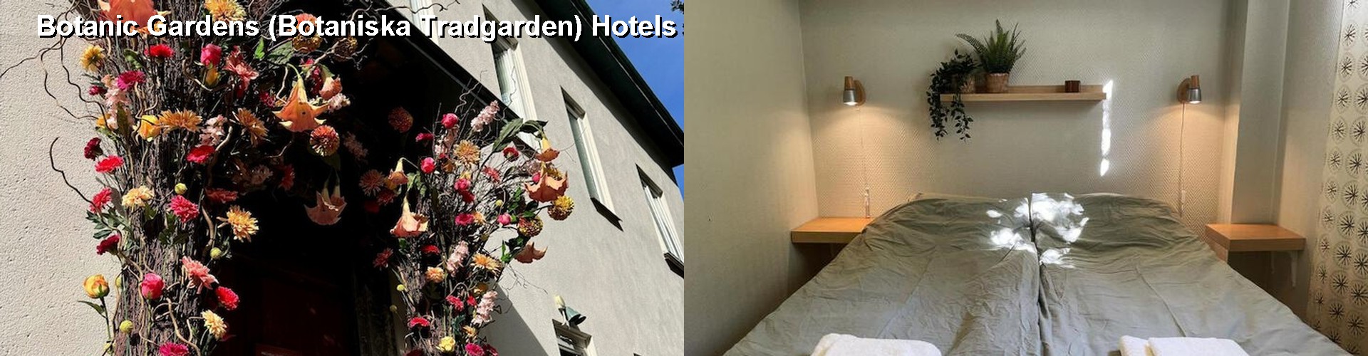 5 Best Hotels near Botanic Gardens (Botaniska Tradgarden)
