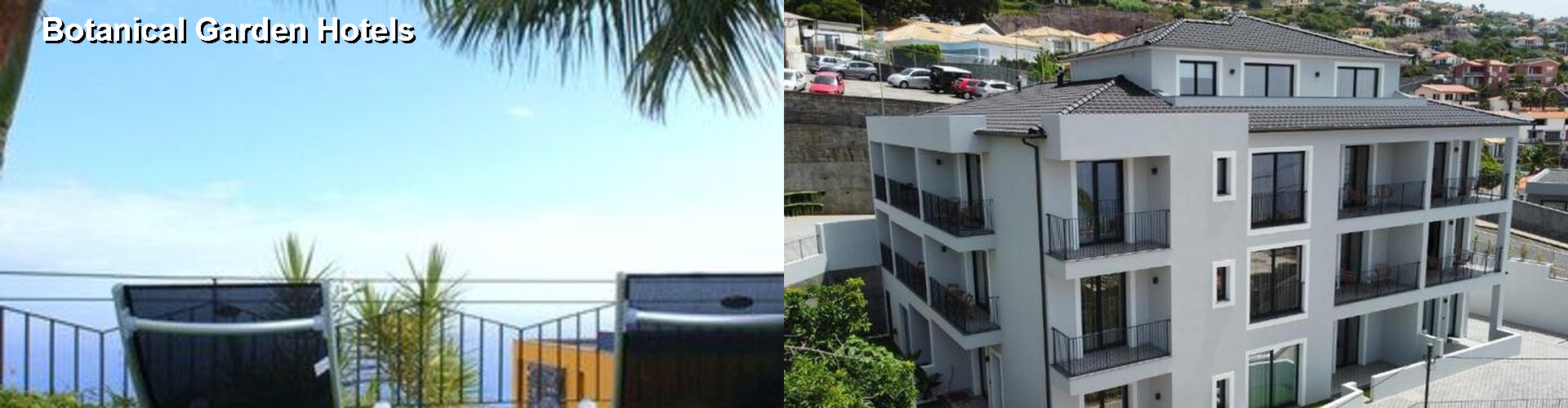 4 Best Hotels near Botanical Garden