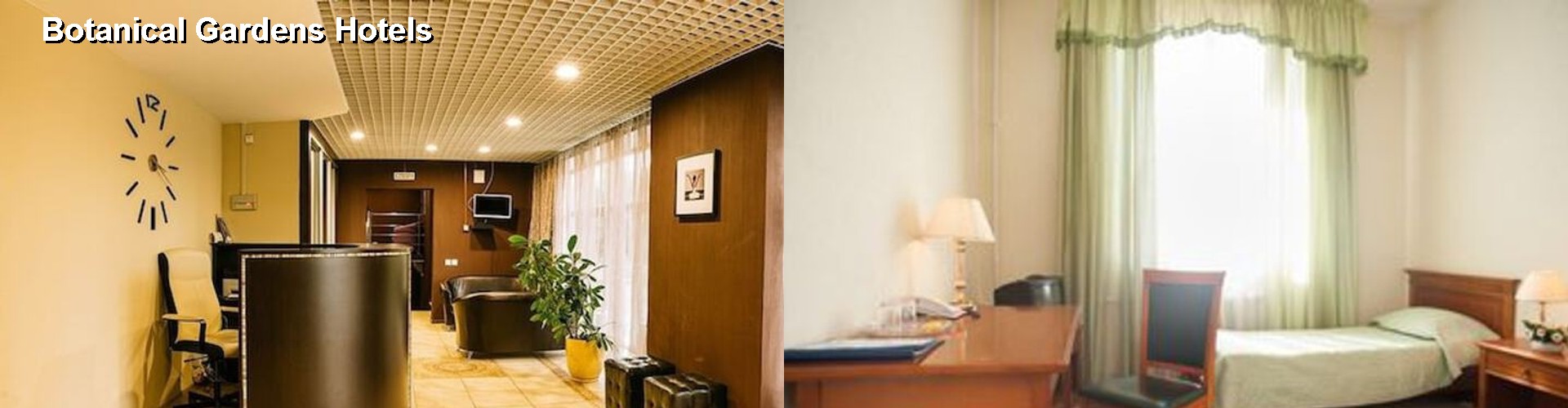 3 Best Hotels near Botanical Gardens