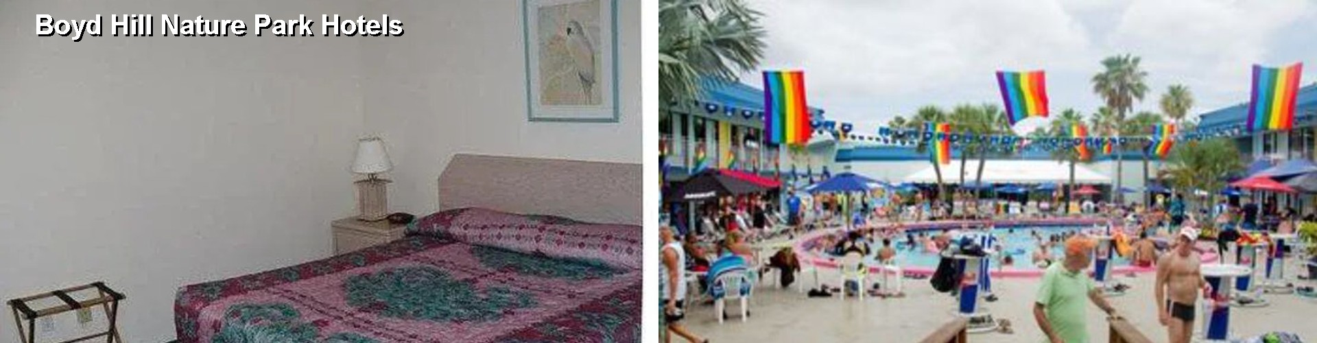 2 Best Hotels near Boyd Hill Nature Park
