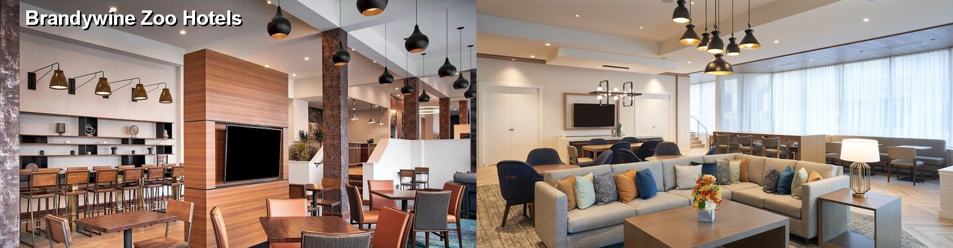 5 Best Hotels near Brandywine Zoo