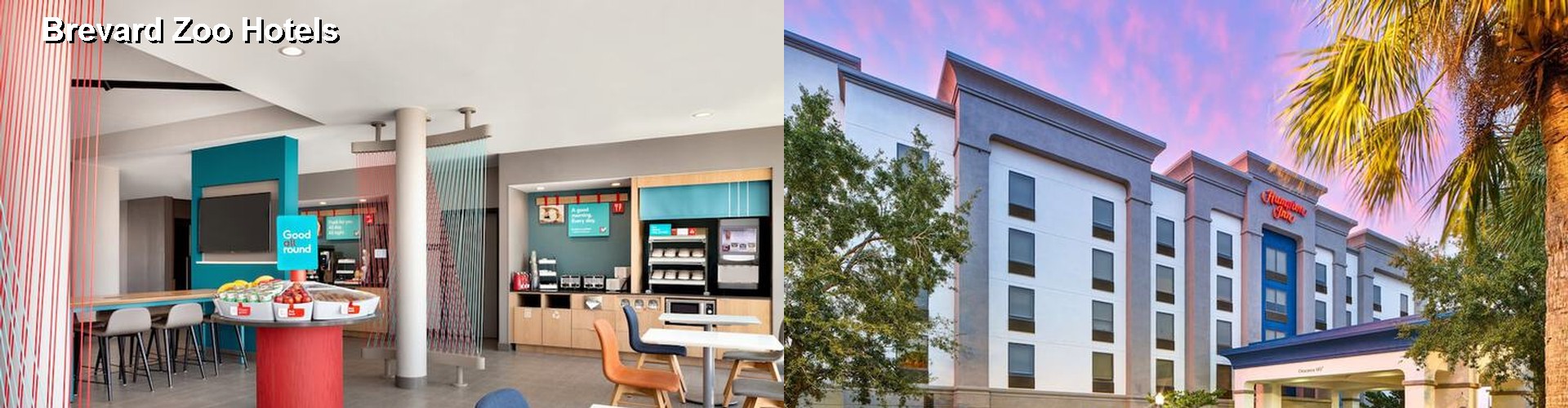 3 Best Hotels near Brevard Zoo