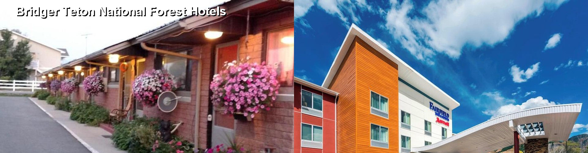 5 Best Hotels near Bridger Teton National Forest
