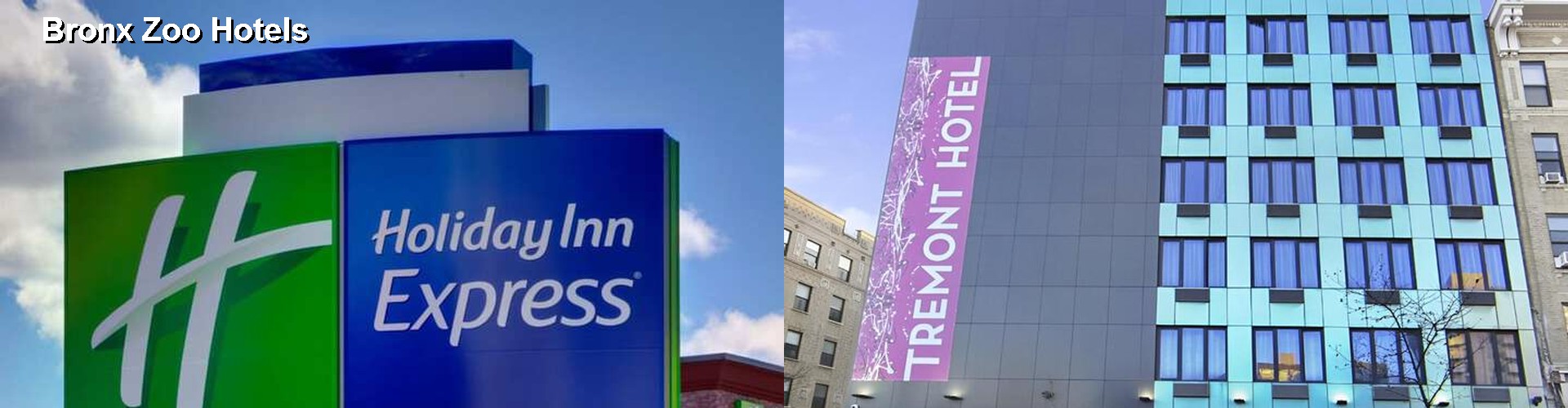 1 Best Hotels near Bronx Zoo