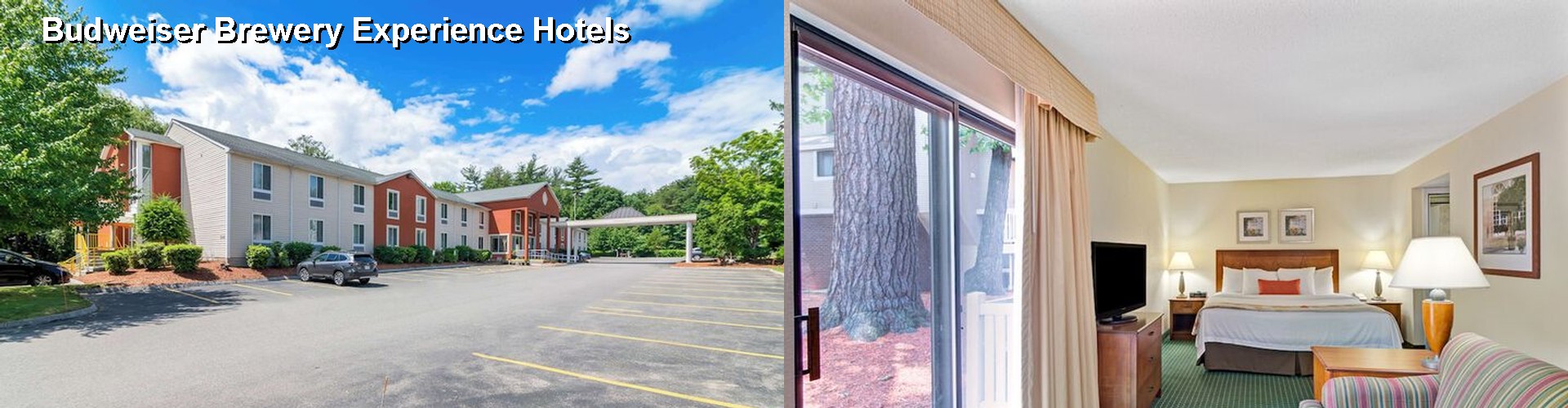 4 Best Hotels near Budweiser Brewery Experience