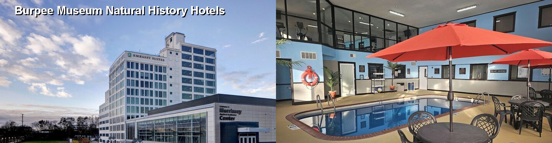 5 Best Hotels near Burpee Museum Natural History