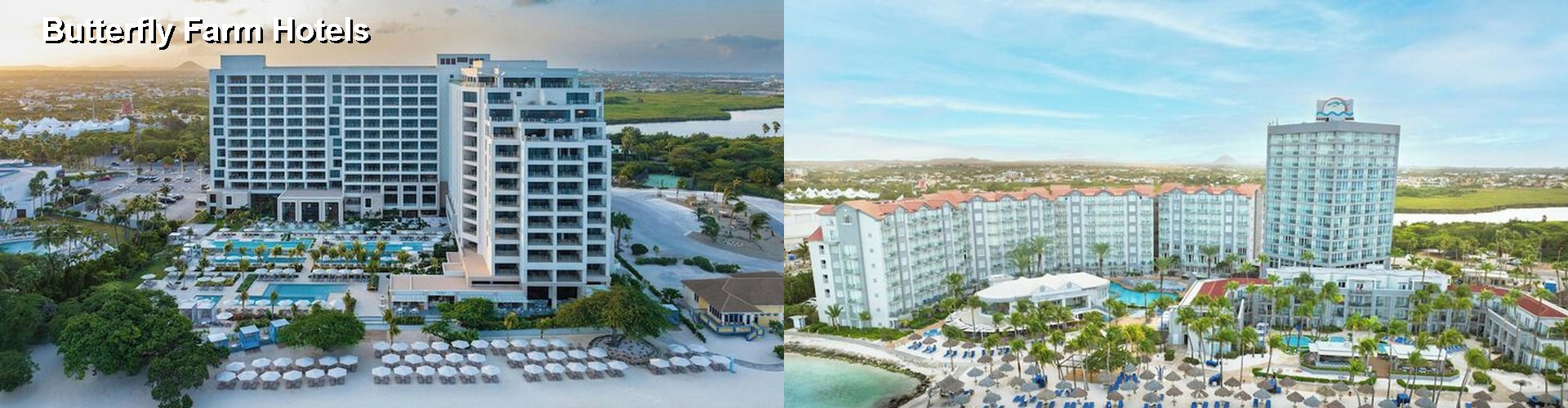 5 Best Hotels near Butterfly Farm