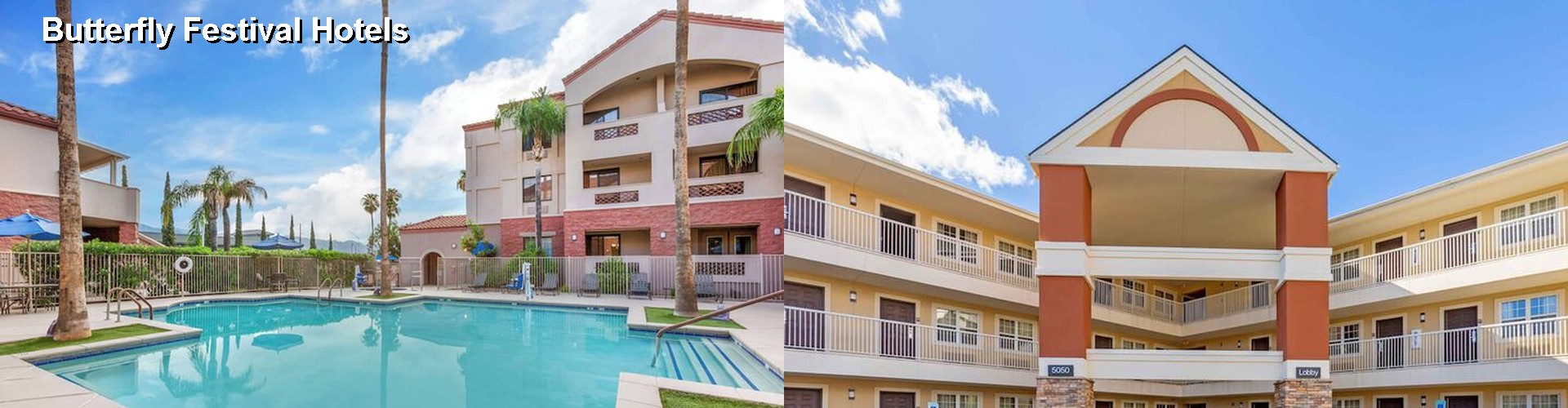 5 Best Hotels near Butterfly Festival