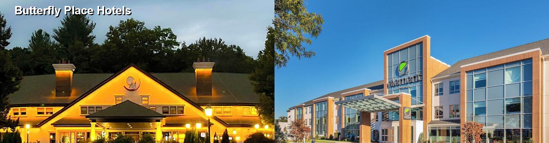 5 Best Hotels near Butterfly Place