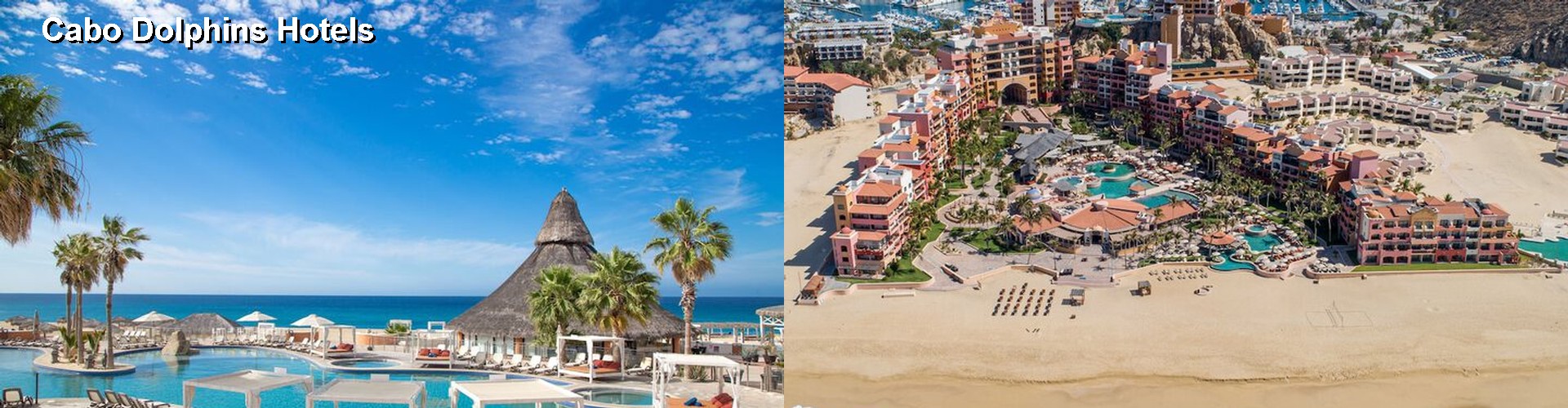 3 Best Hotels near Cabo Dolphins