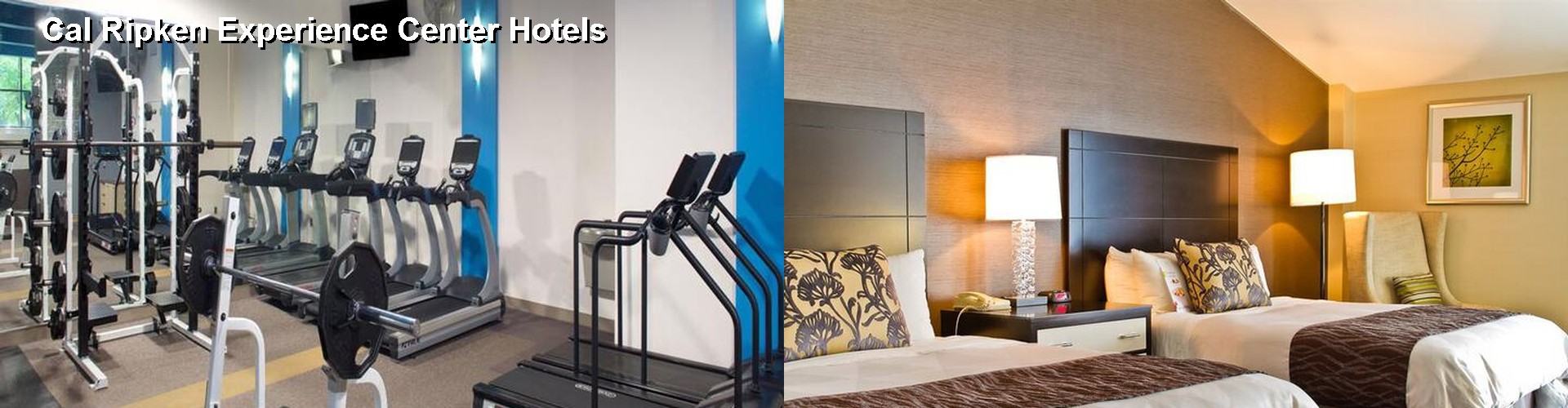 5 Best Hotels near Cal Ripken Experience Center