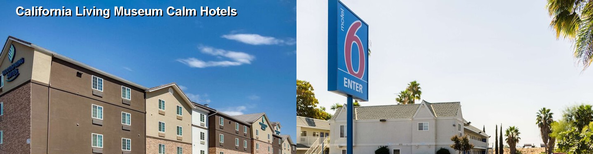 4 Best Hotels near California Living Museum Calm