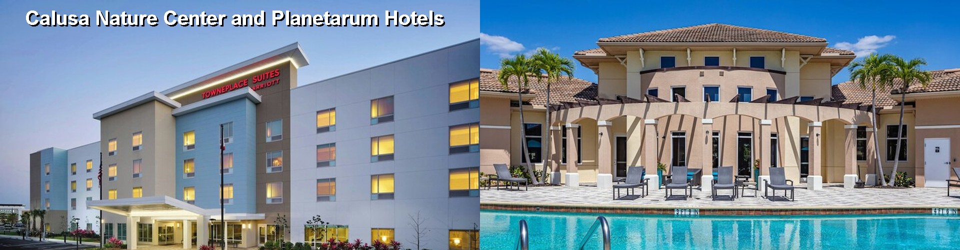 5 Best Hotels near Calusa Nature Center and Planetarum