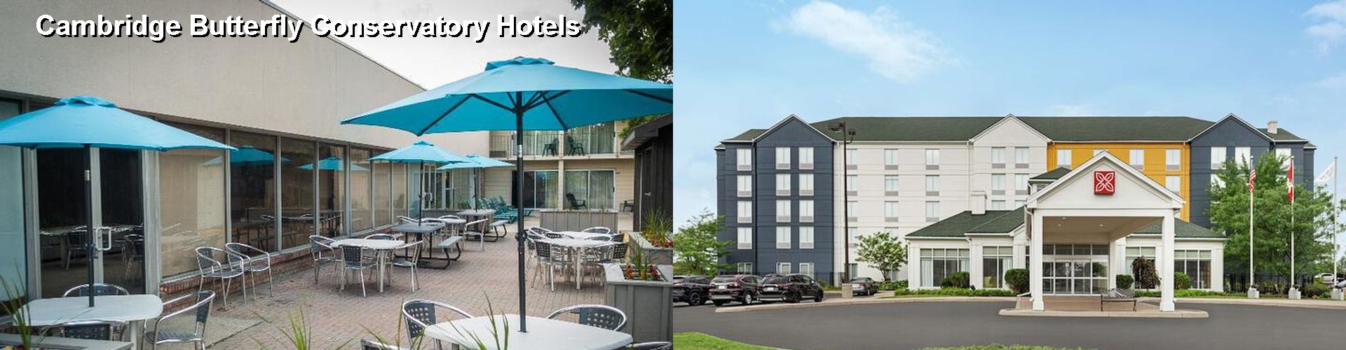 5 Best Hotels near Cambridge Butterfly Conservatory
