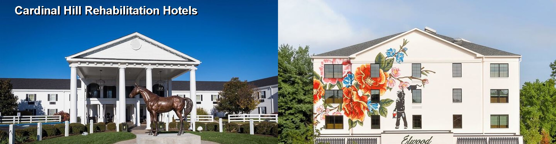 5 Best Hotels near Cardinal Hill Rehabilitation