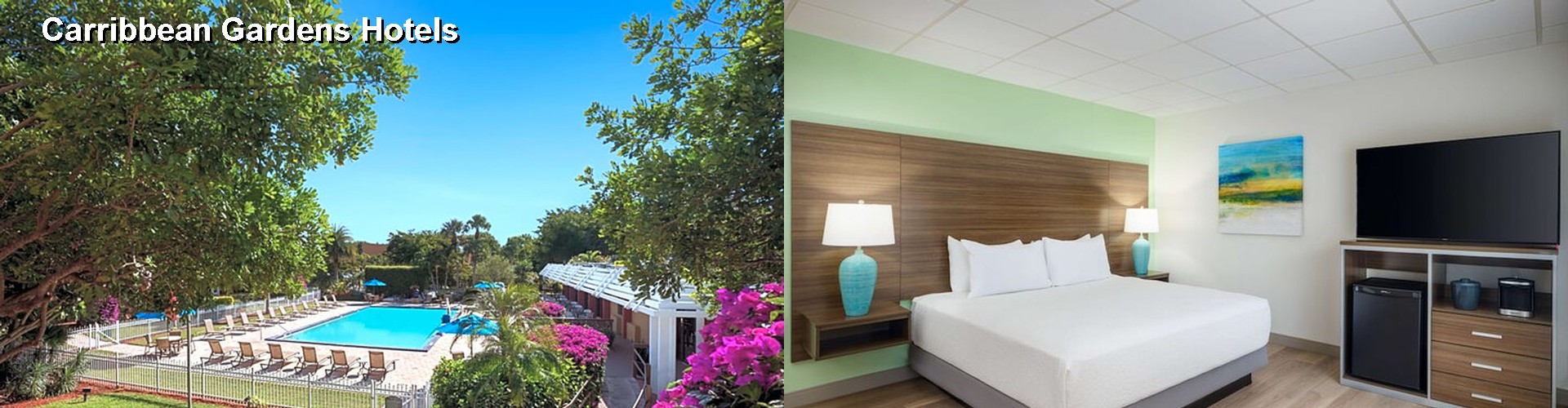 5 Best Hotels near Carribbean Gardens