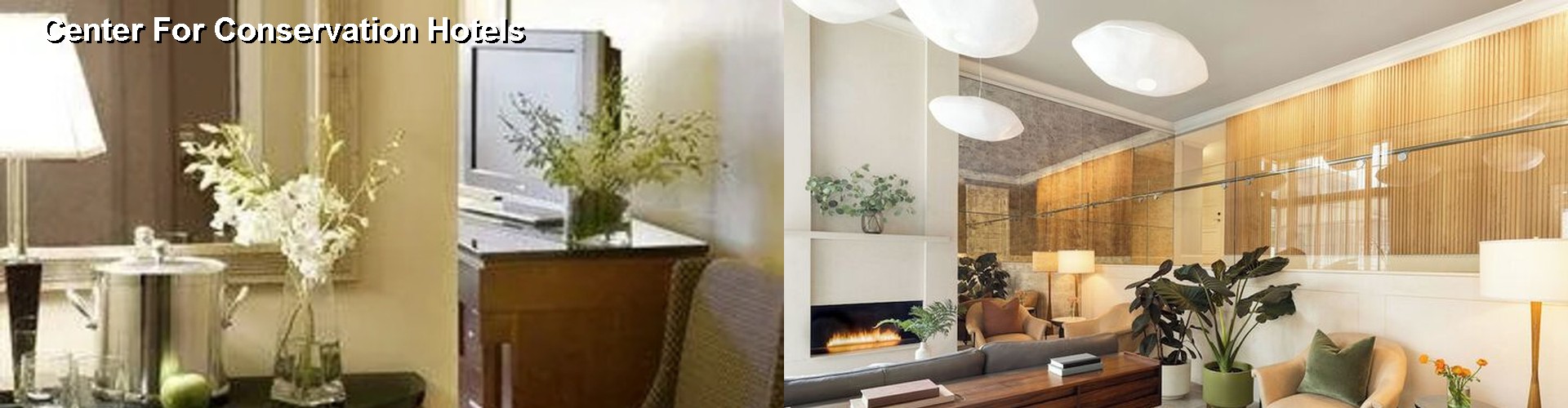 4 Best Hotels near Center For Conservation