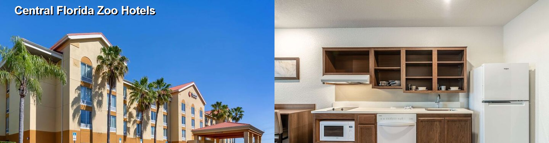 5 Best Hotels near Central Florida Zoo