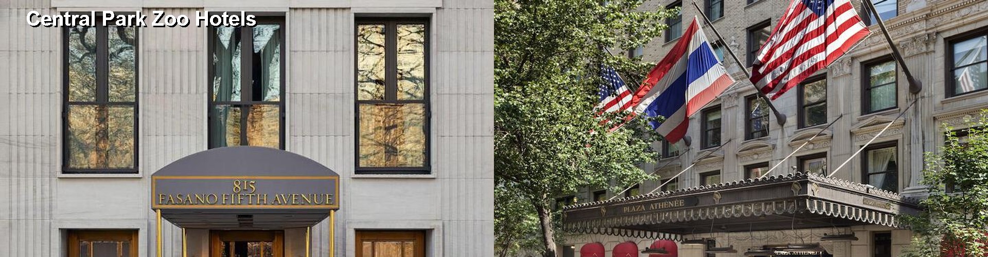 5 Best Hotels near Central Park Zoo